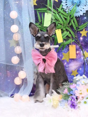 20250705ニーナちゃん 